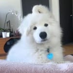 Avatar de Paula Flores